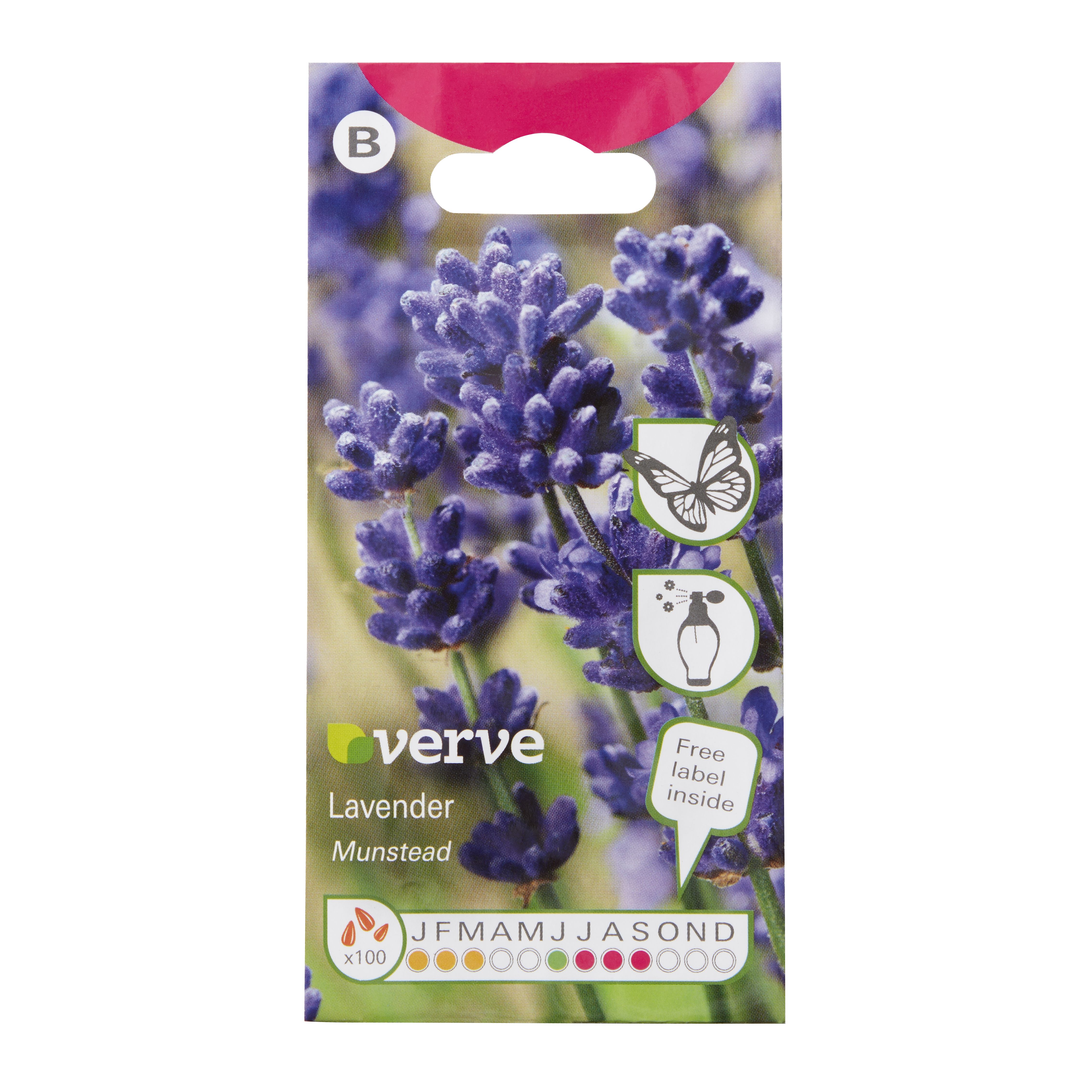 Verve Munstead Lavender Seeds