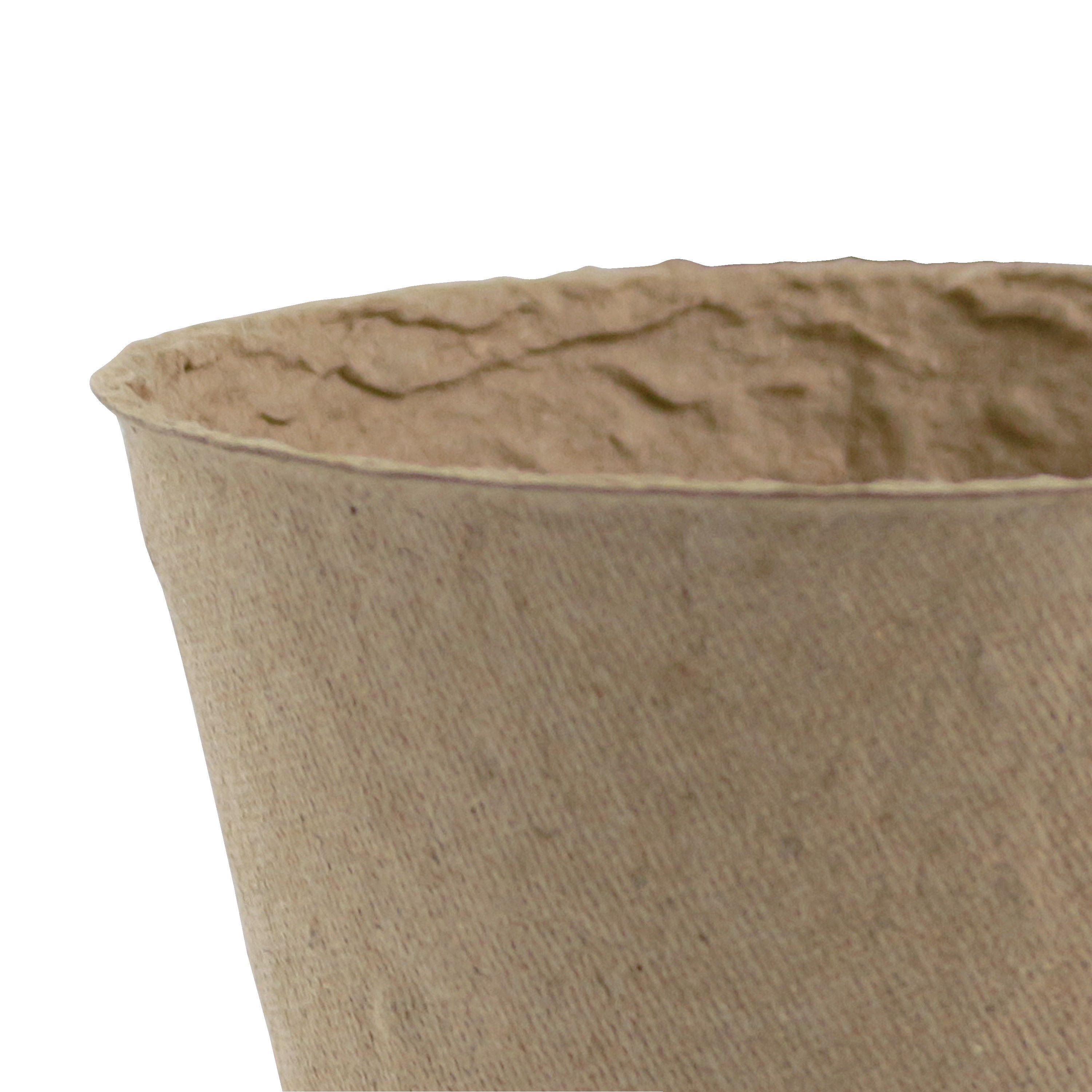 Verve Natural Beige Paper pulp Plant pot (Dia) 8cm, (H)8cm, Pack of 24, 200ml