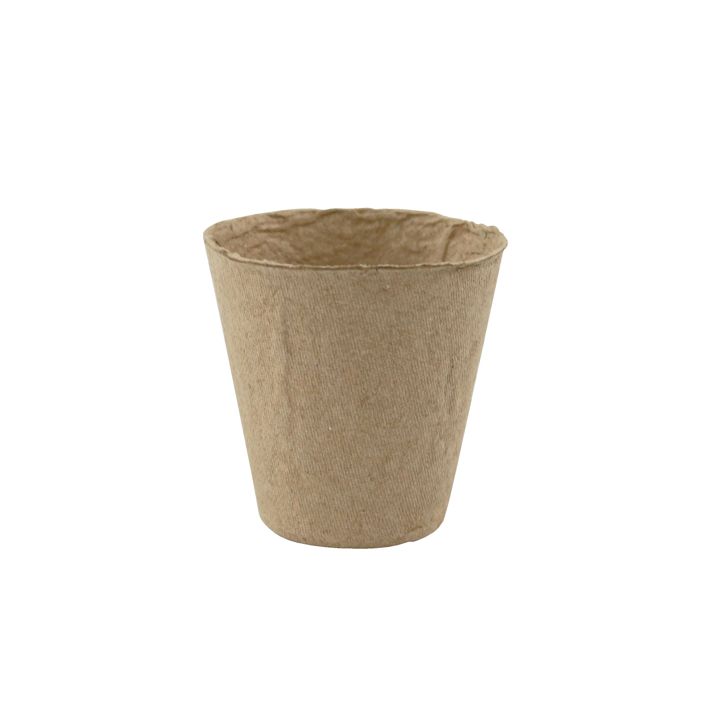 Verve Natural Paper pulp Circular Plant pot (Dia)6cm, Pack of 48