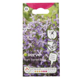 Verve Night scented lilac Stock Seeds