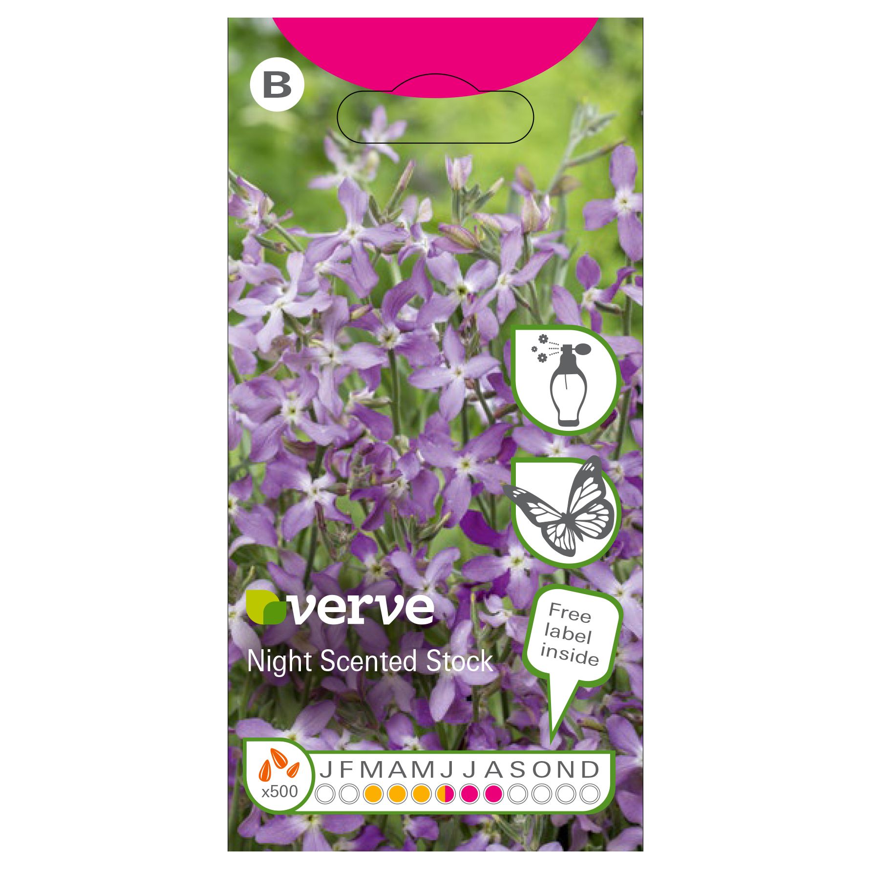 Verve Night scented pink Stock Seeds