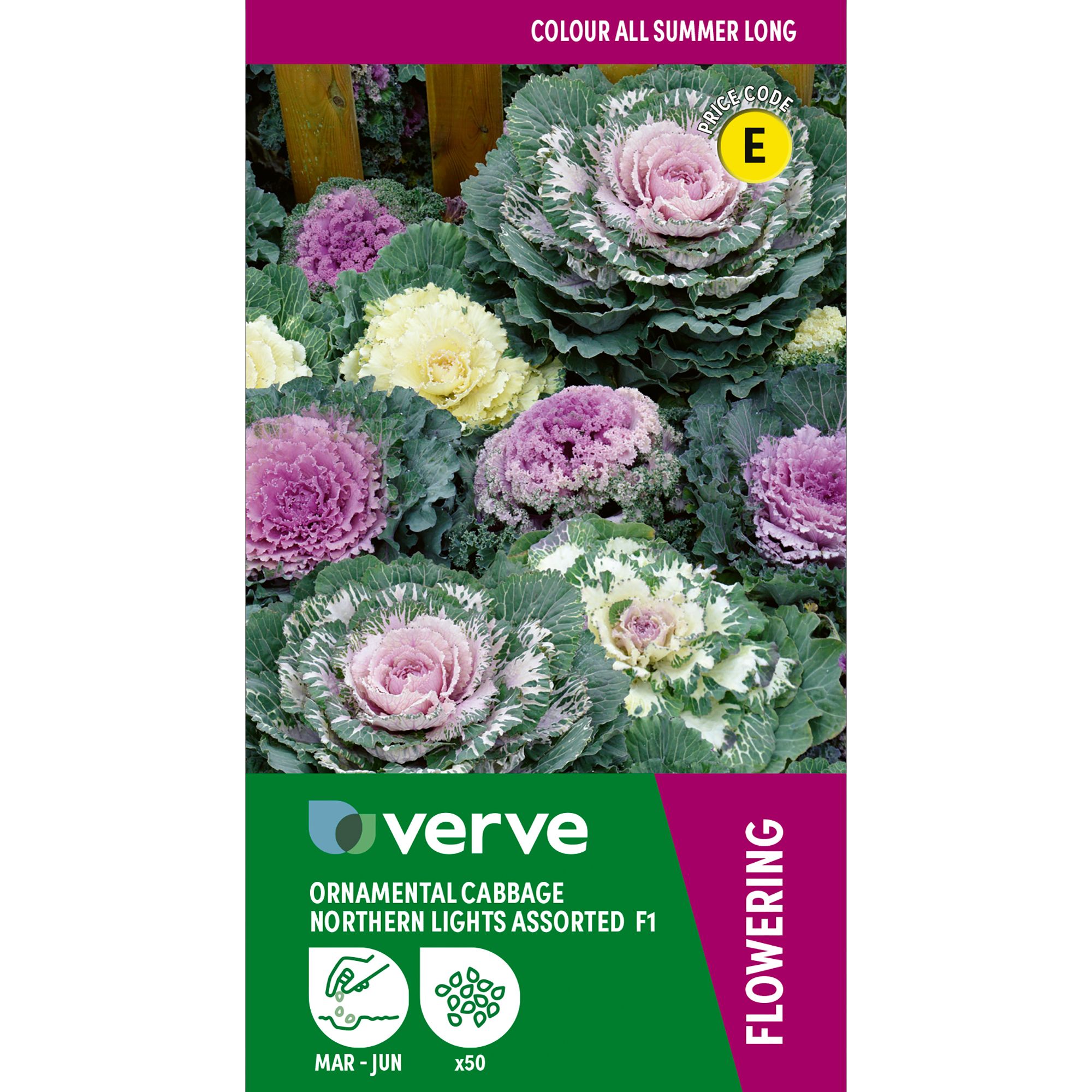 Verve Northern Lights Assorted F1 Ornamental Cabbage Seeds