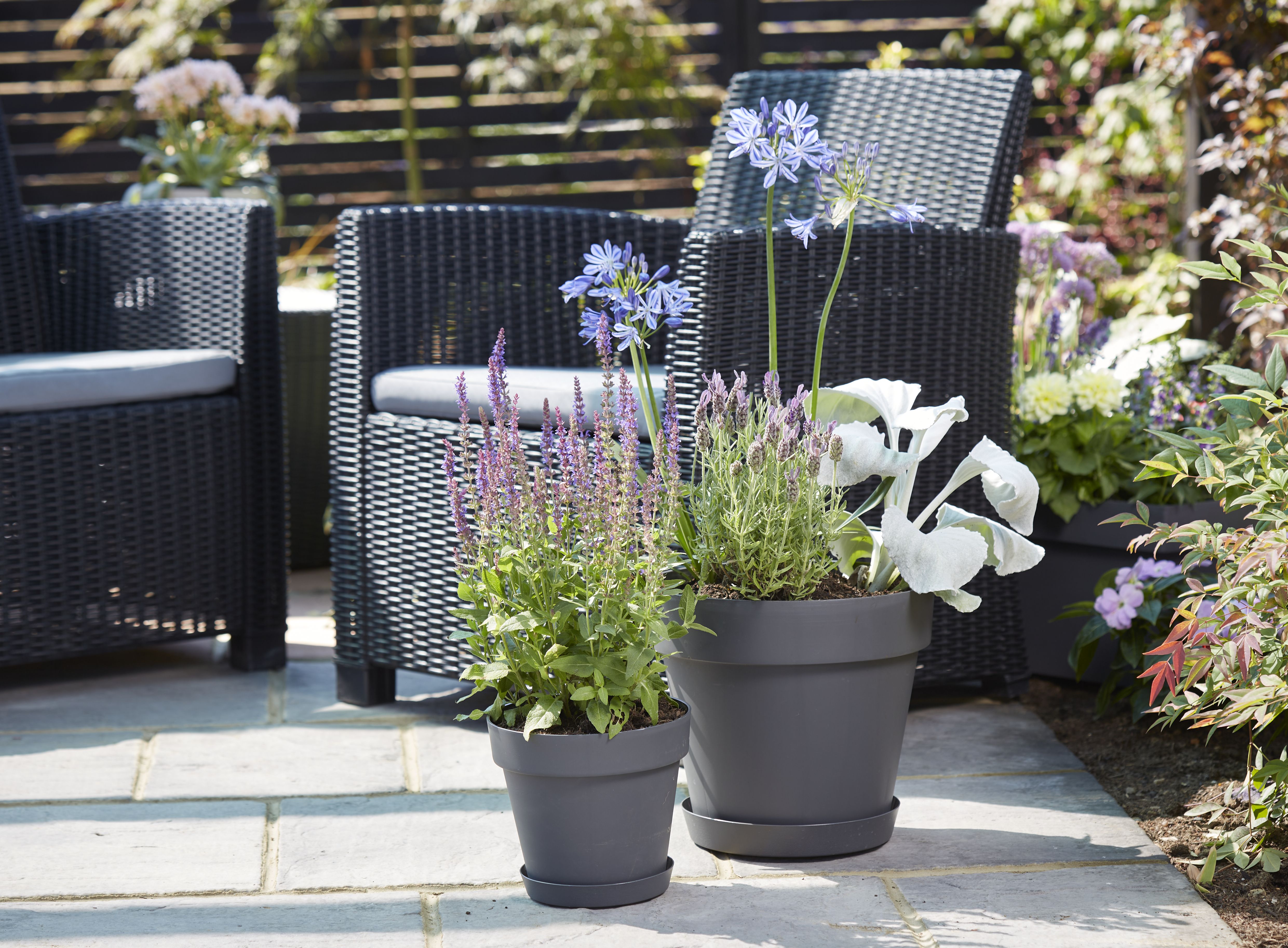 Verve Nurgul Matt Dark grey Plastic Plant pot (Dia) 20cm, (H)17.7cm, 3.5L