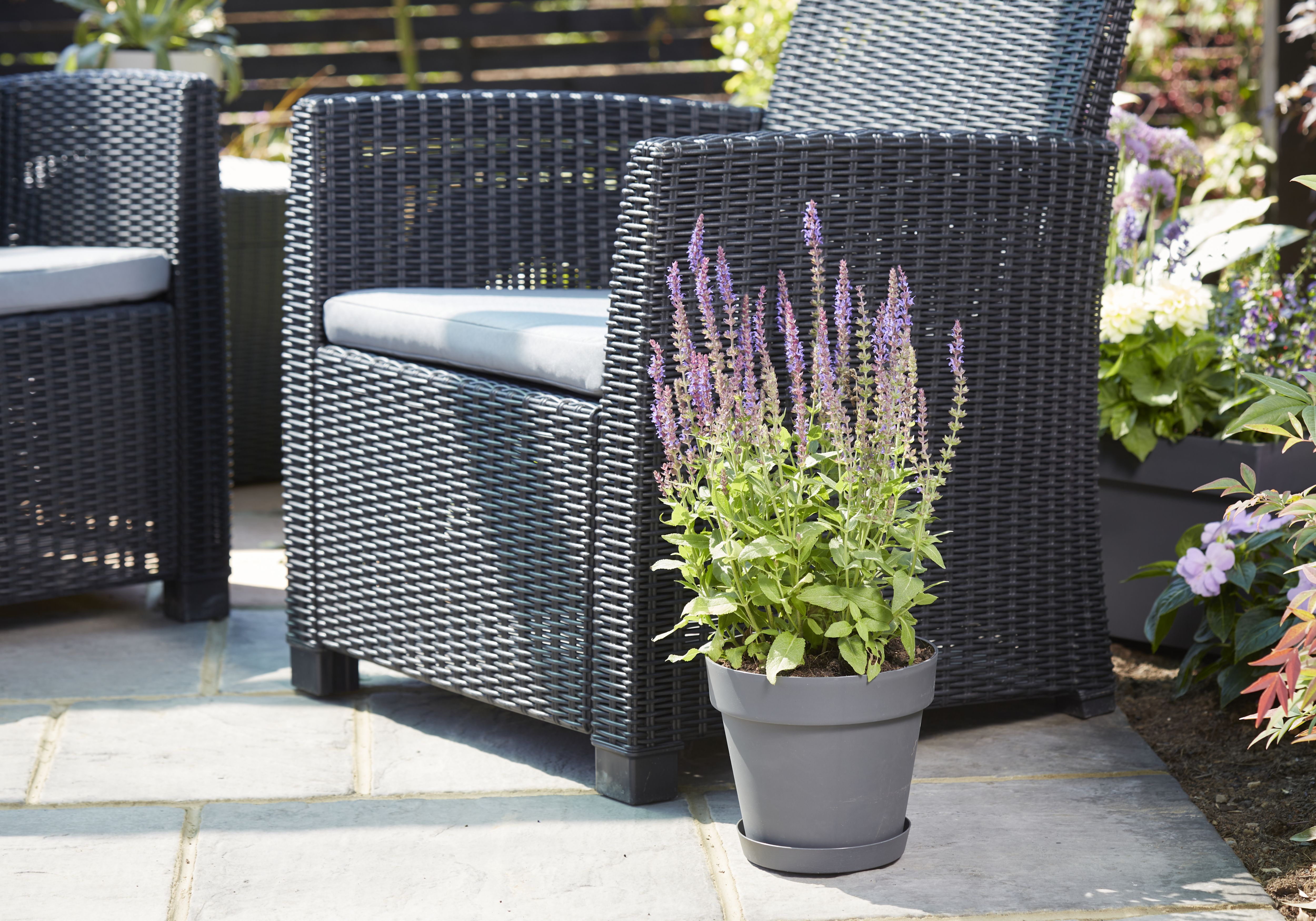 Verve Nurgul Matt Dark grey Plastic Plant pot (Dia) 20cm, (H)17.7cm, 3.5L