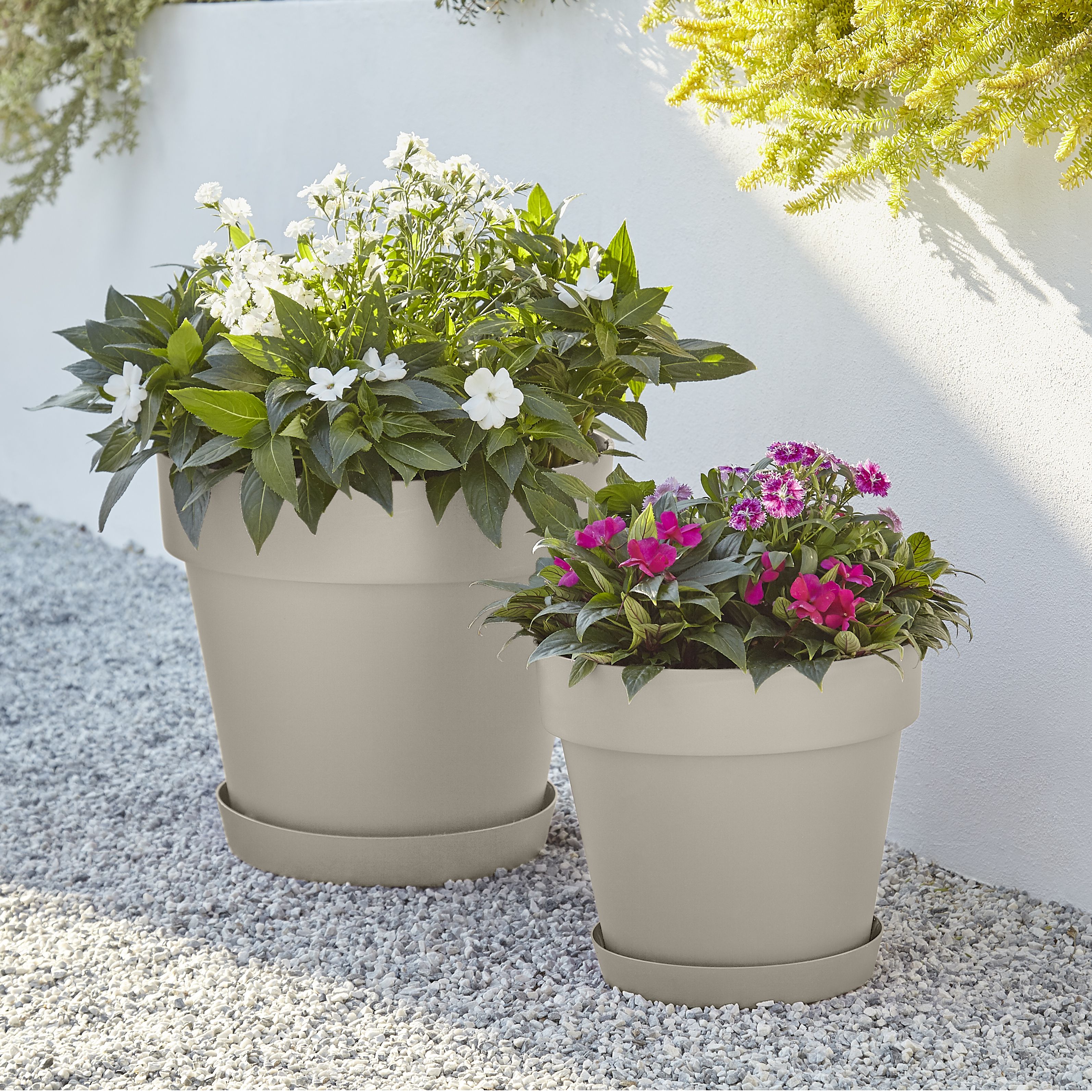 Verve Nurgul Peyote Saucer (Dia)30.5cm