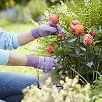 Verve Nylon Lavender Gardening gloves, Small