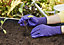 Verve Nylon Lilac Gardening gloves, Medium