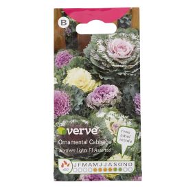 Verve Ornamental cabbage Seeds