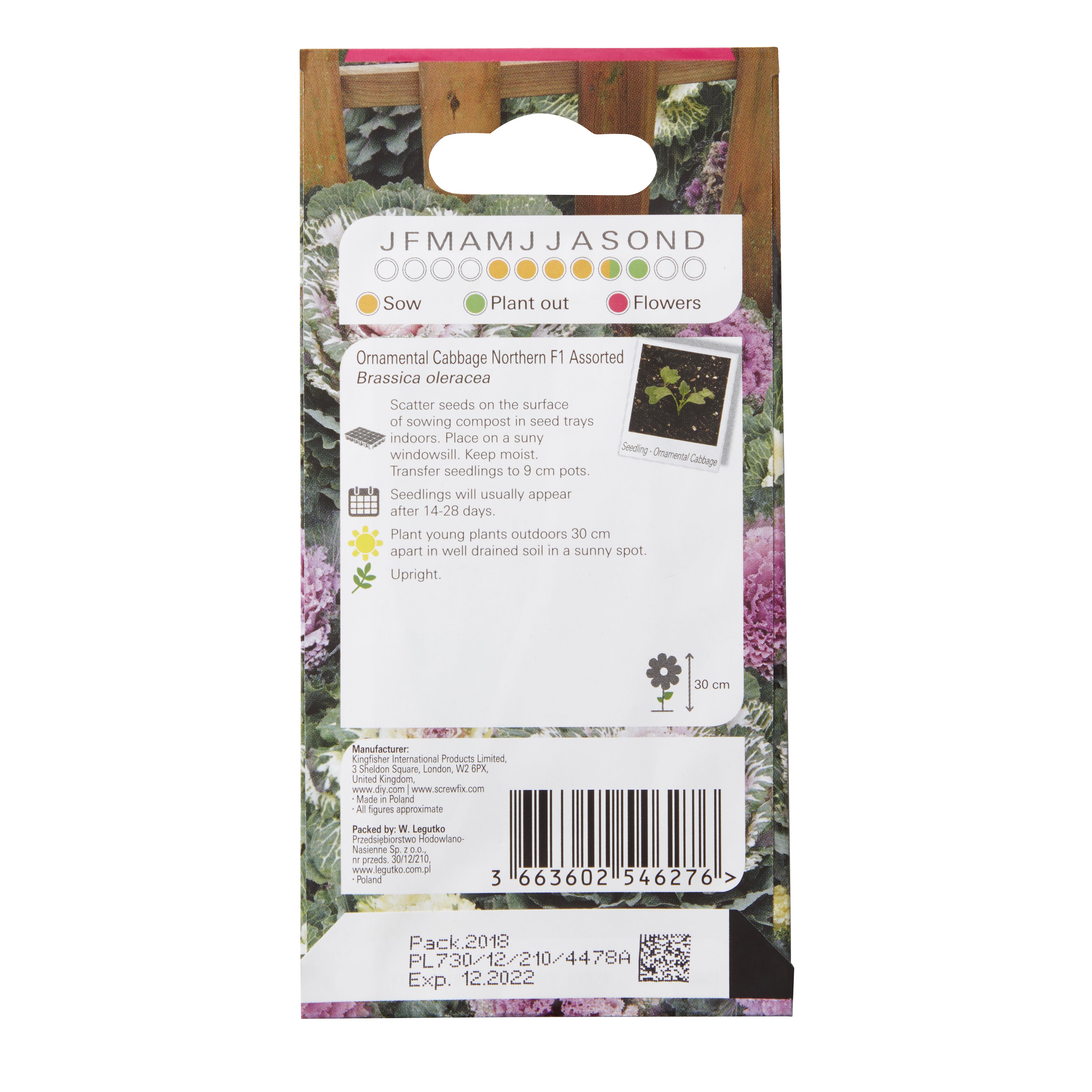 Verve Ornamental cabbage Vegetable Seeds