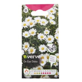 Verve Ox eye Daisy Seeds