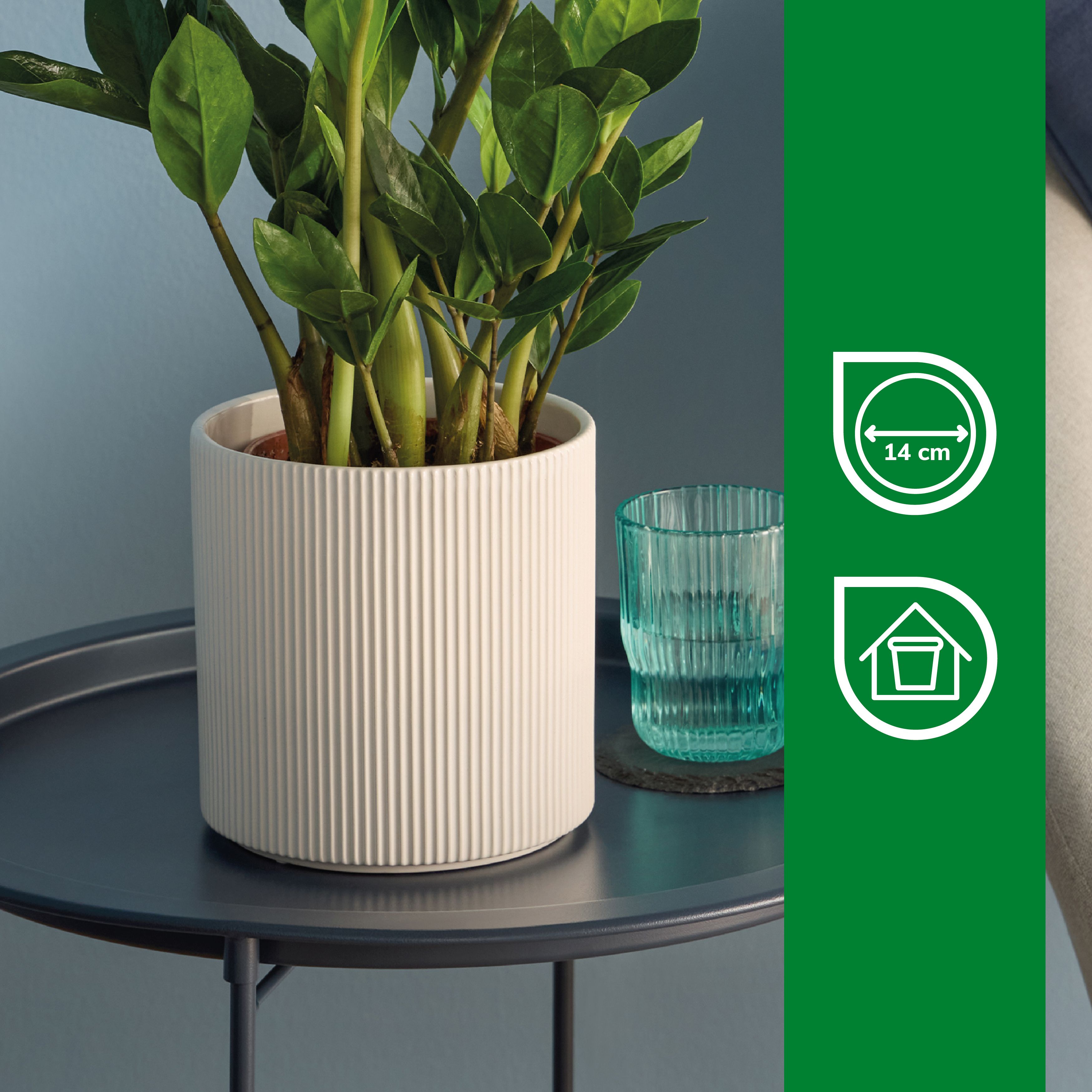 Verve Painted White Ribbed Ceramic Plant pot (Dia) 16cm, (H)16cm