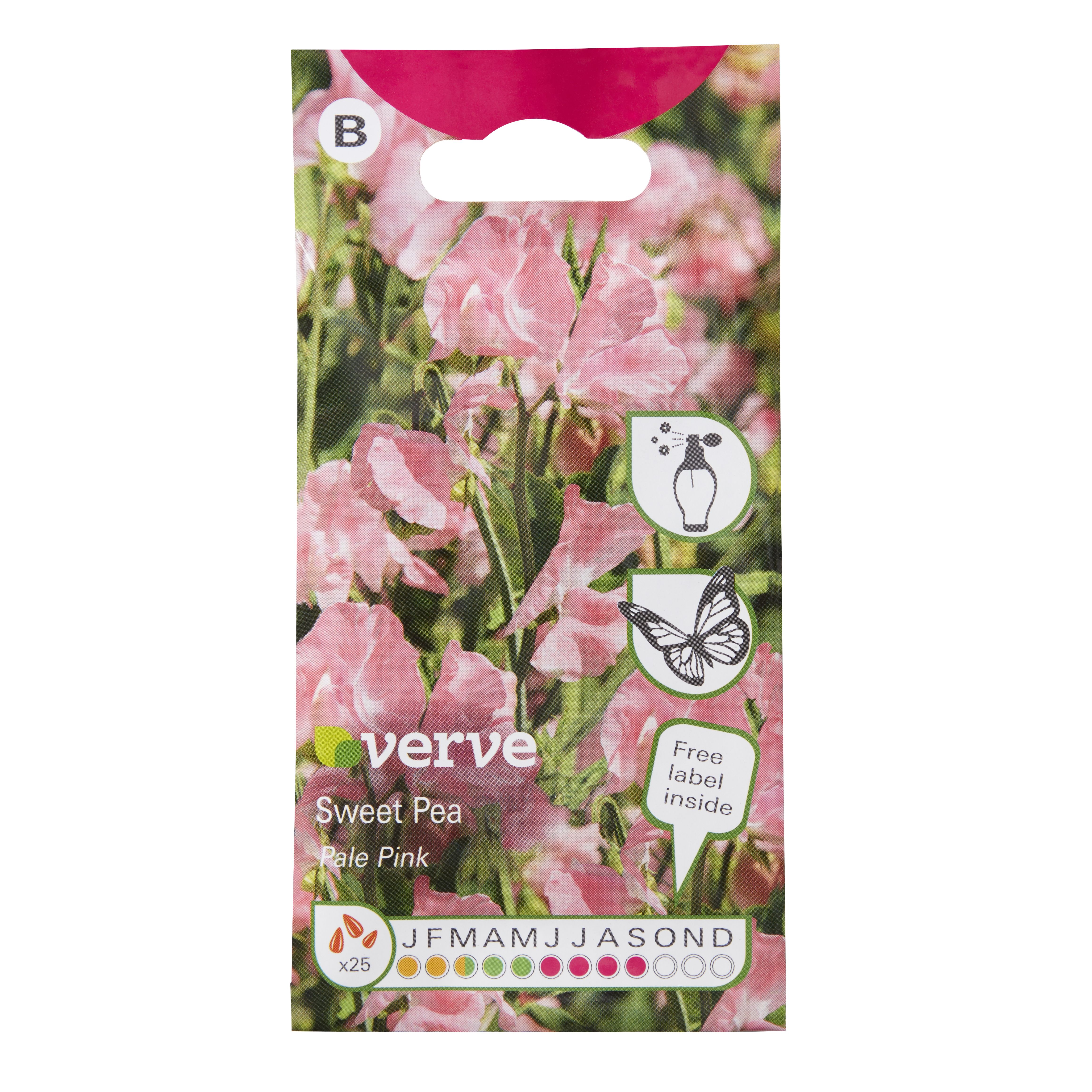 Verve Pale pink Sweet pea Seeds