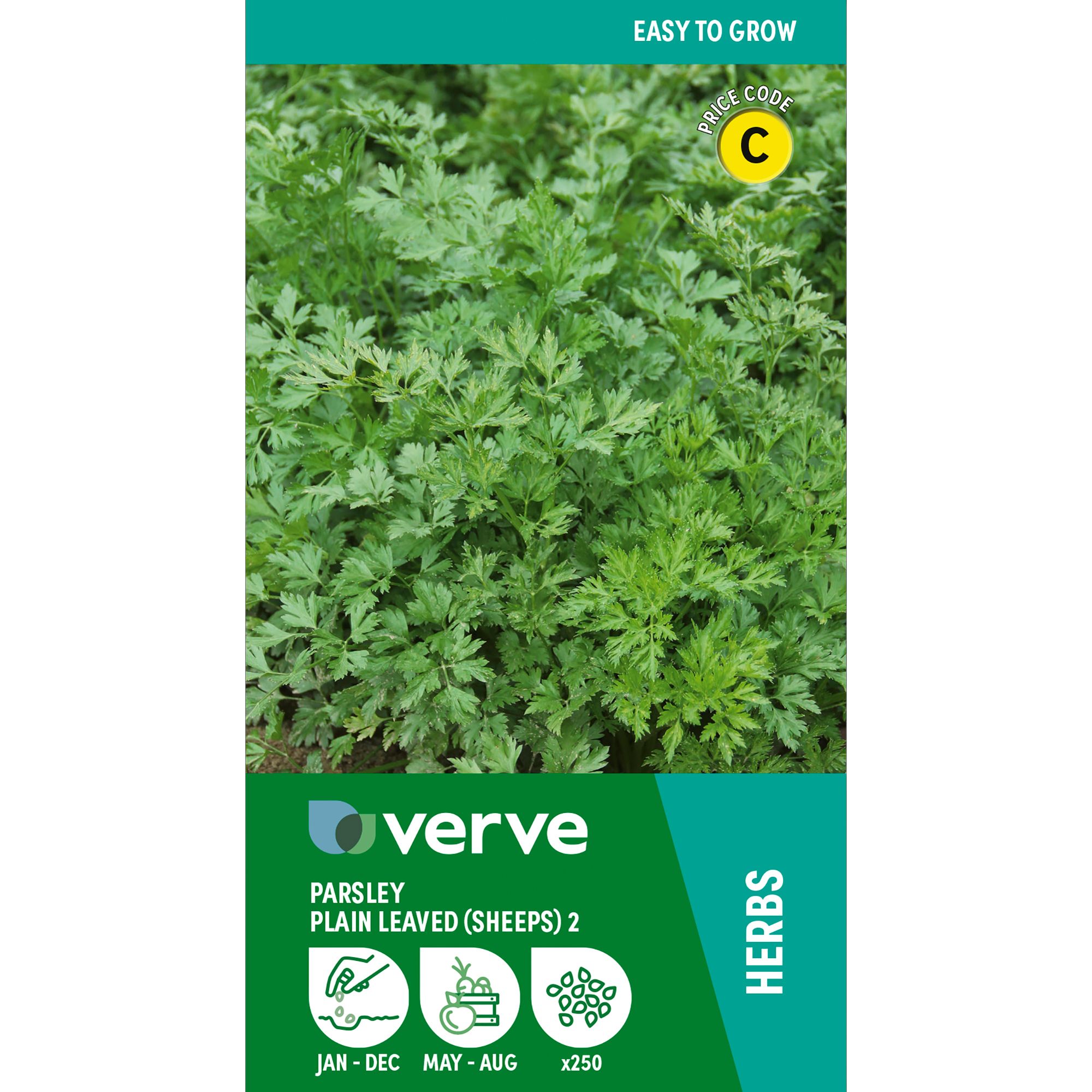 Verve Parsley 'Plain Leaved (Sheeps) 2' Herb Seeds