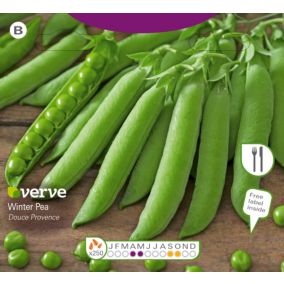 Verve Pea winter milwa Seeds