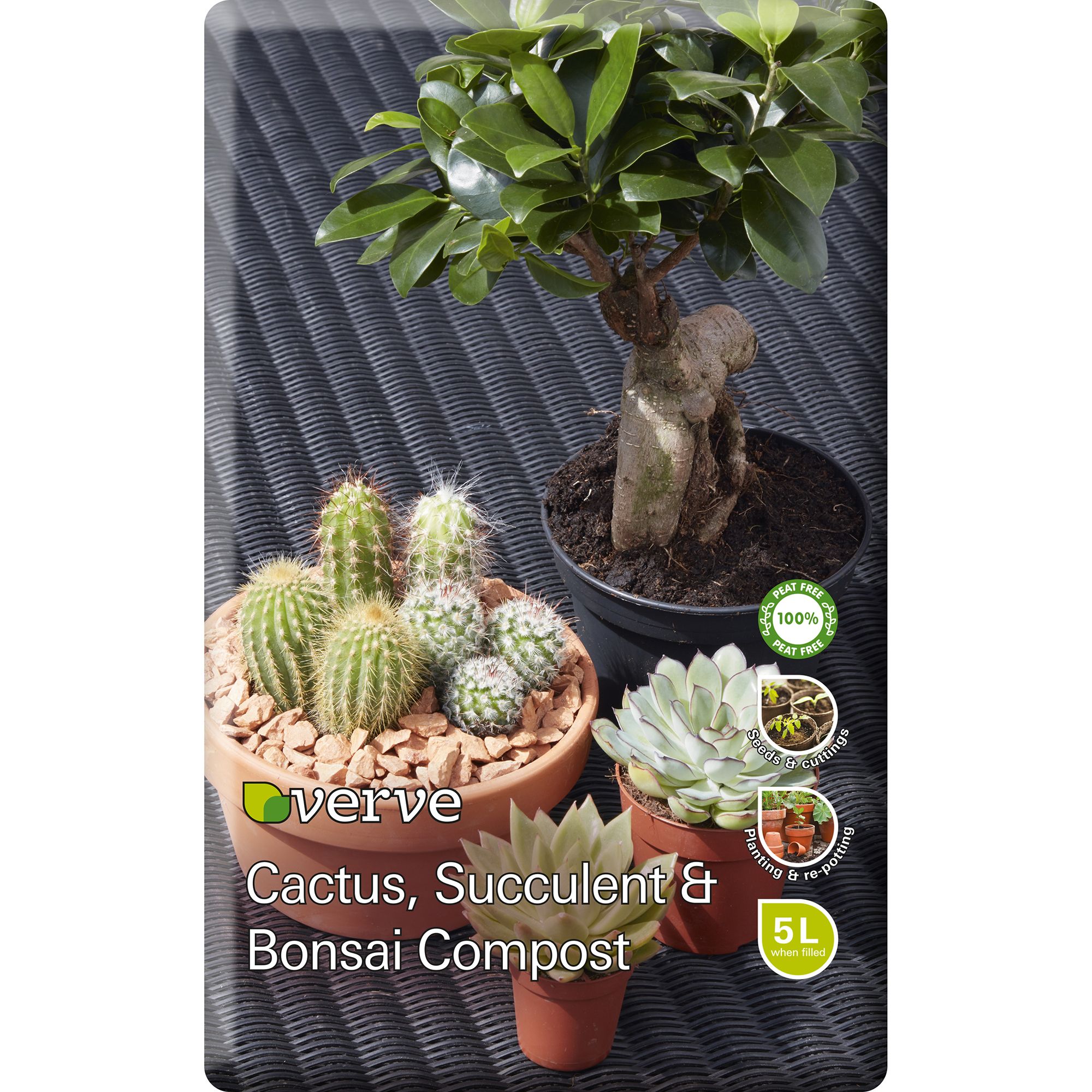 Verve Peat-free Cacti & succulent Compost 5L | DIY at B&Q