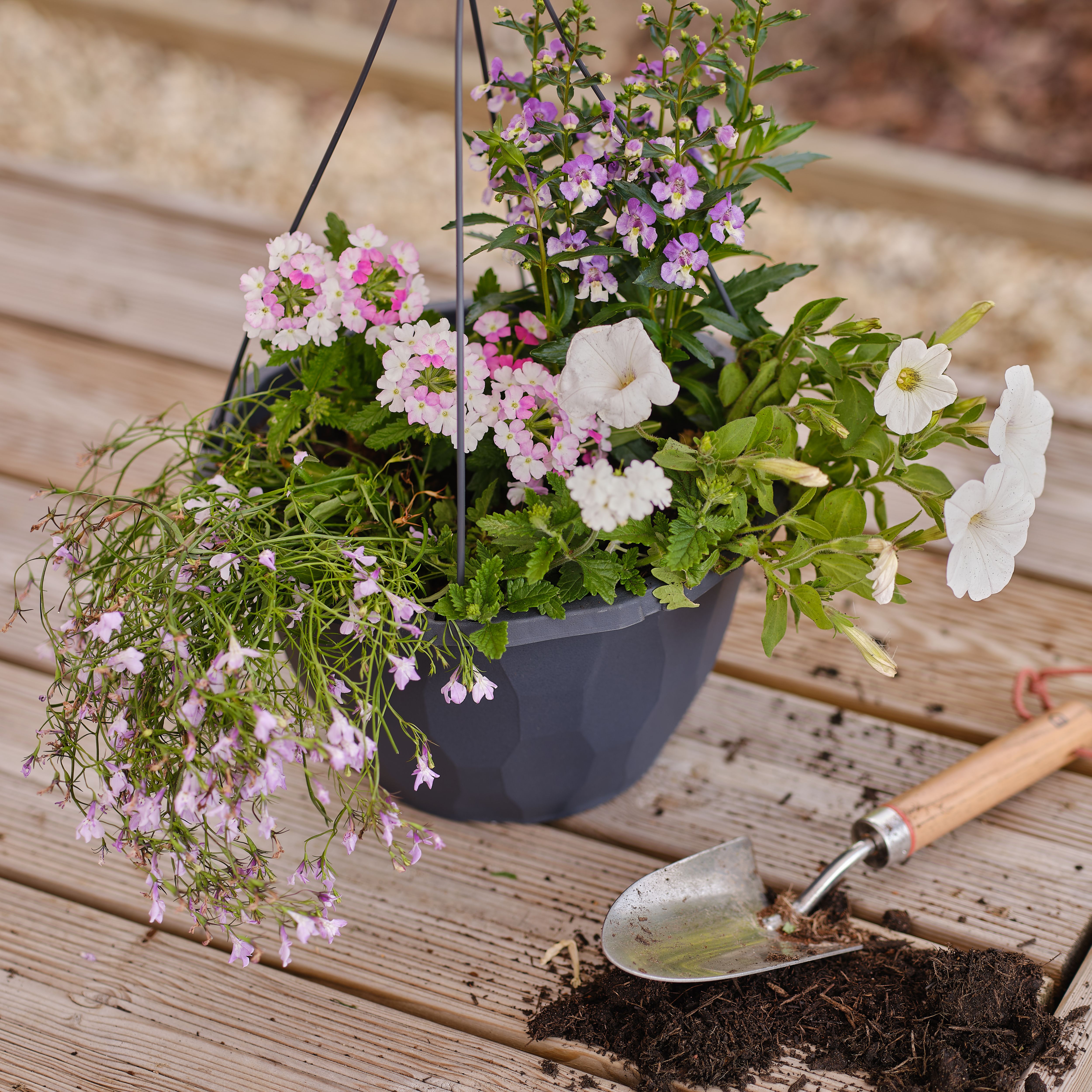 Verve Peat-free Container & Hanging basket Compost 50L