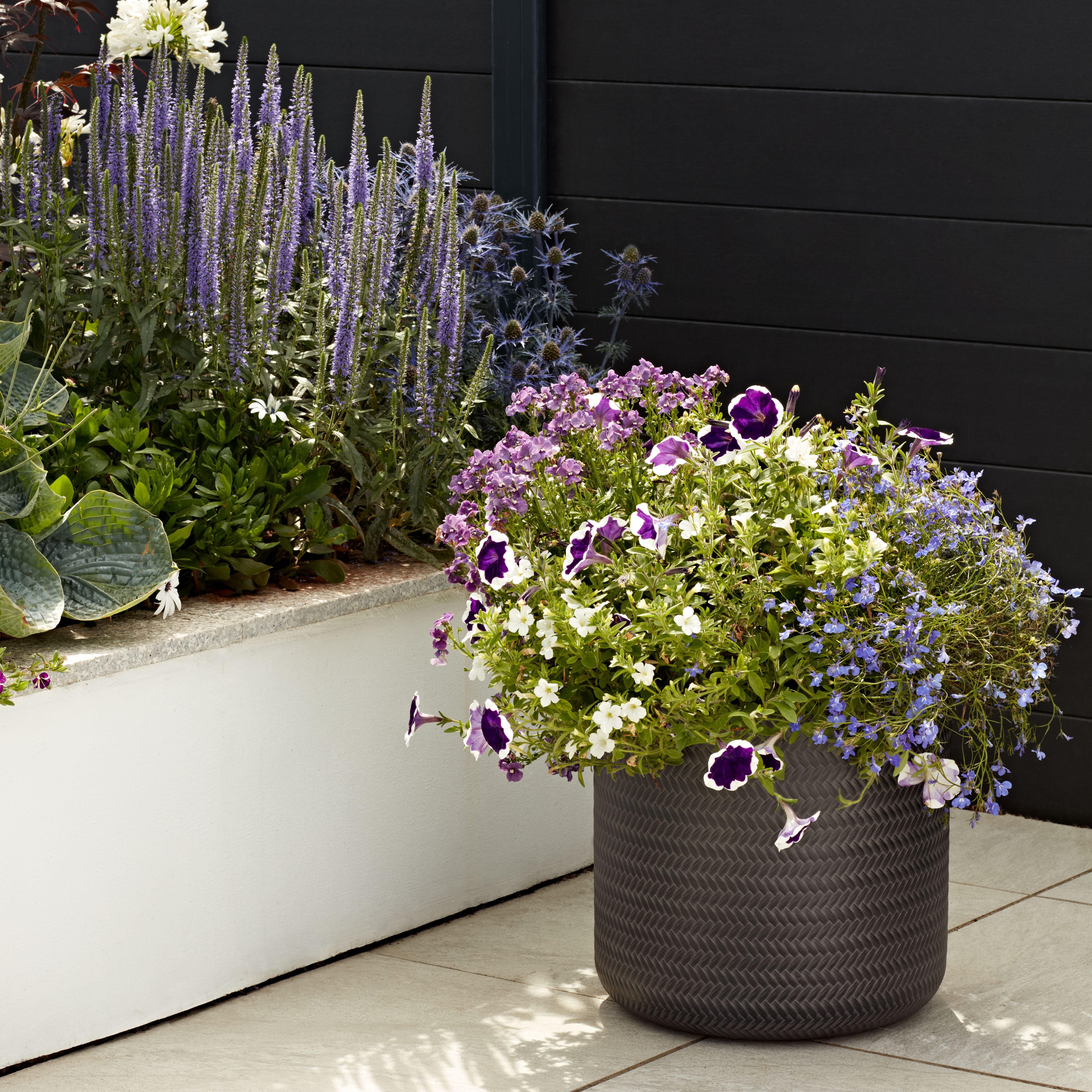 Verve Peat-free Container & Hanging basket Compost 50L