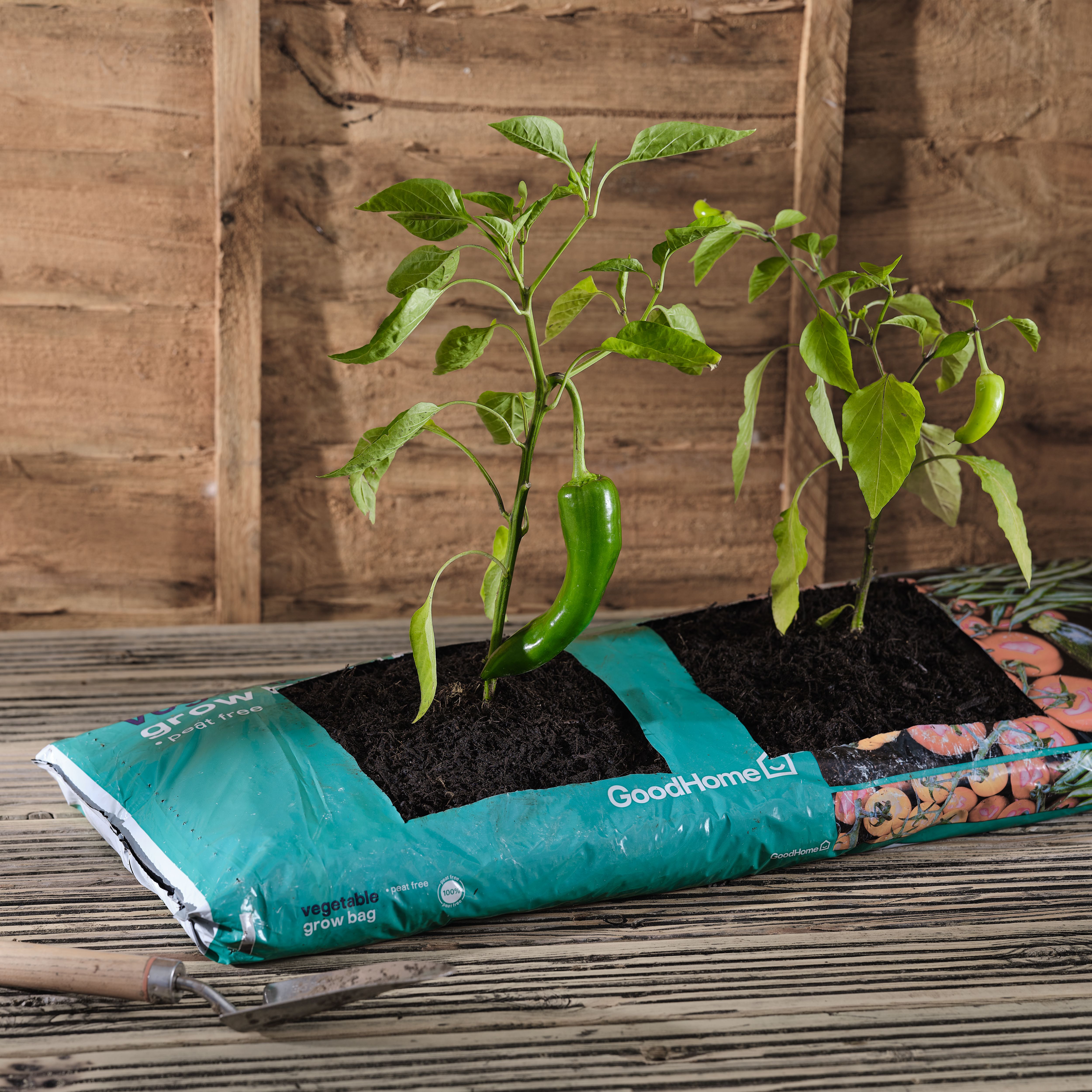Verve Peat-free Fruit & vegetable Grow bag
