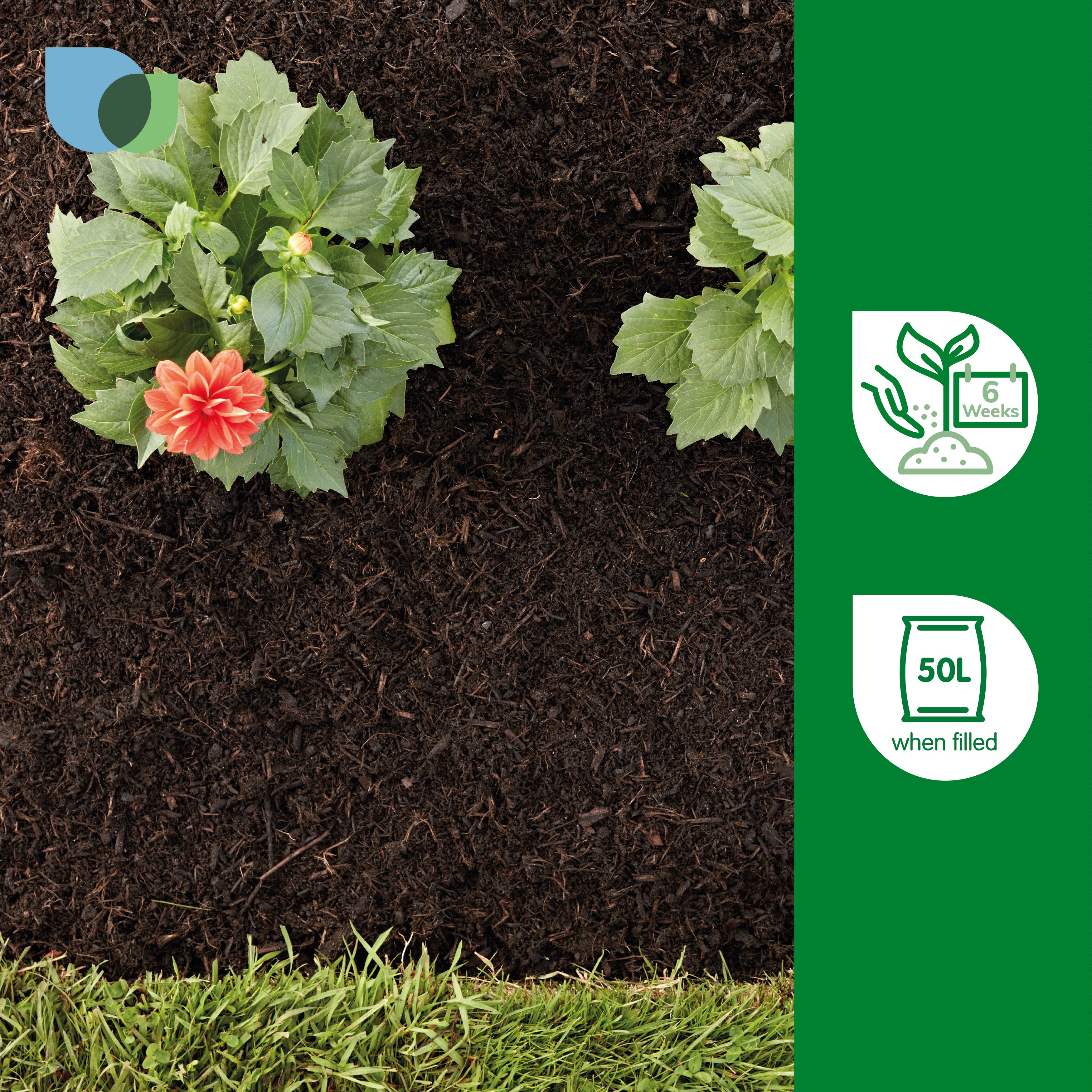 Verve Peat-free Multi-purpose Compost 50L