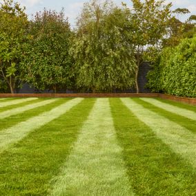 Verve Peat-free Top soil 25L