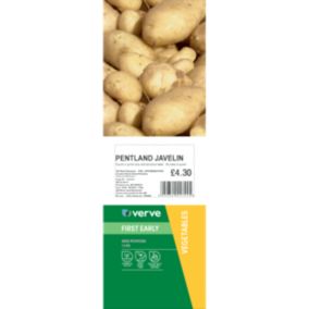 Verve Pentland Javelin Seed Potato