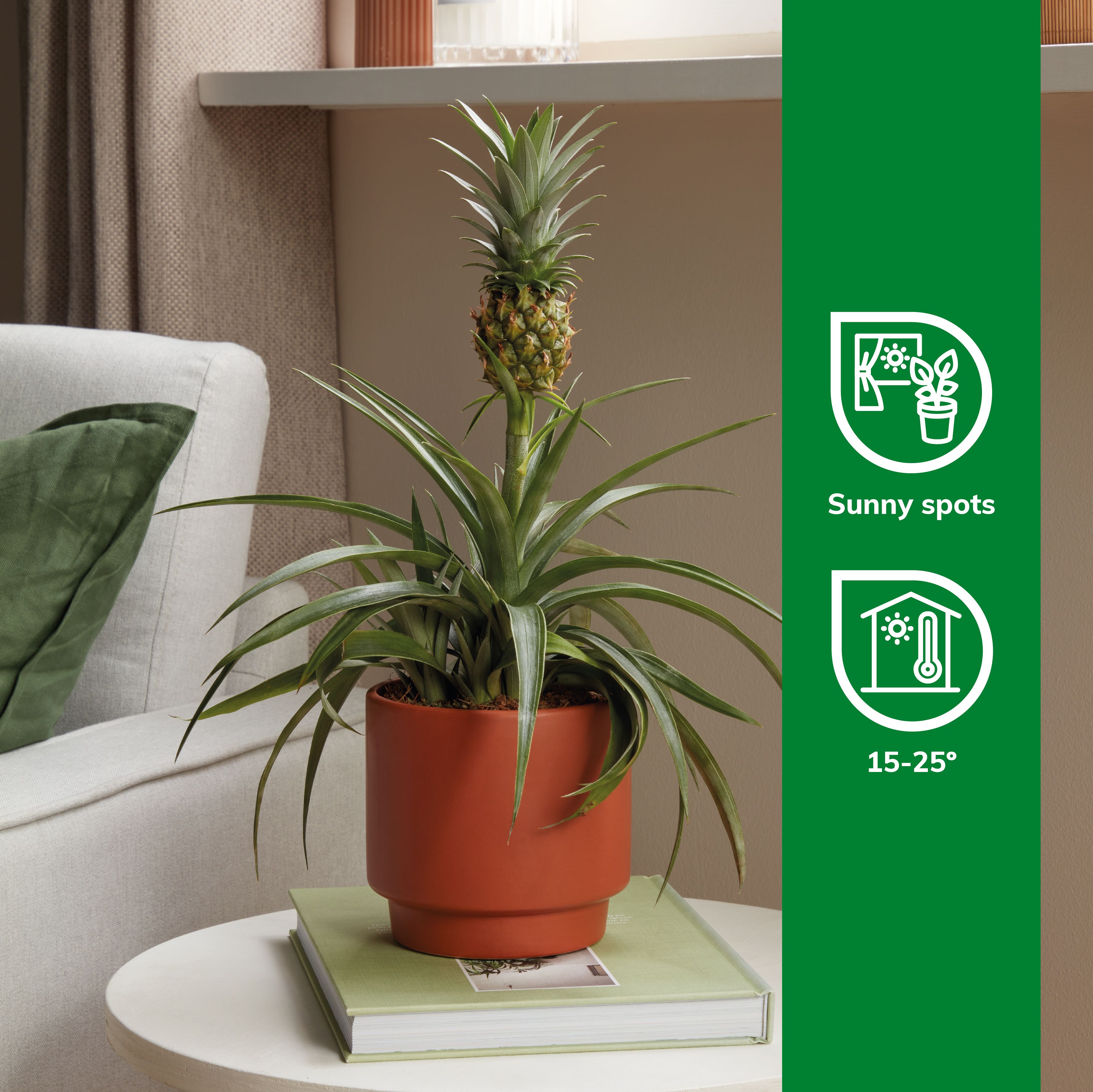 B&q pineapple light deals