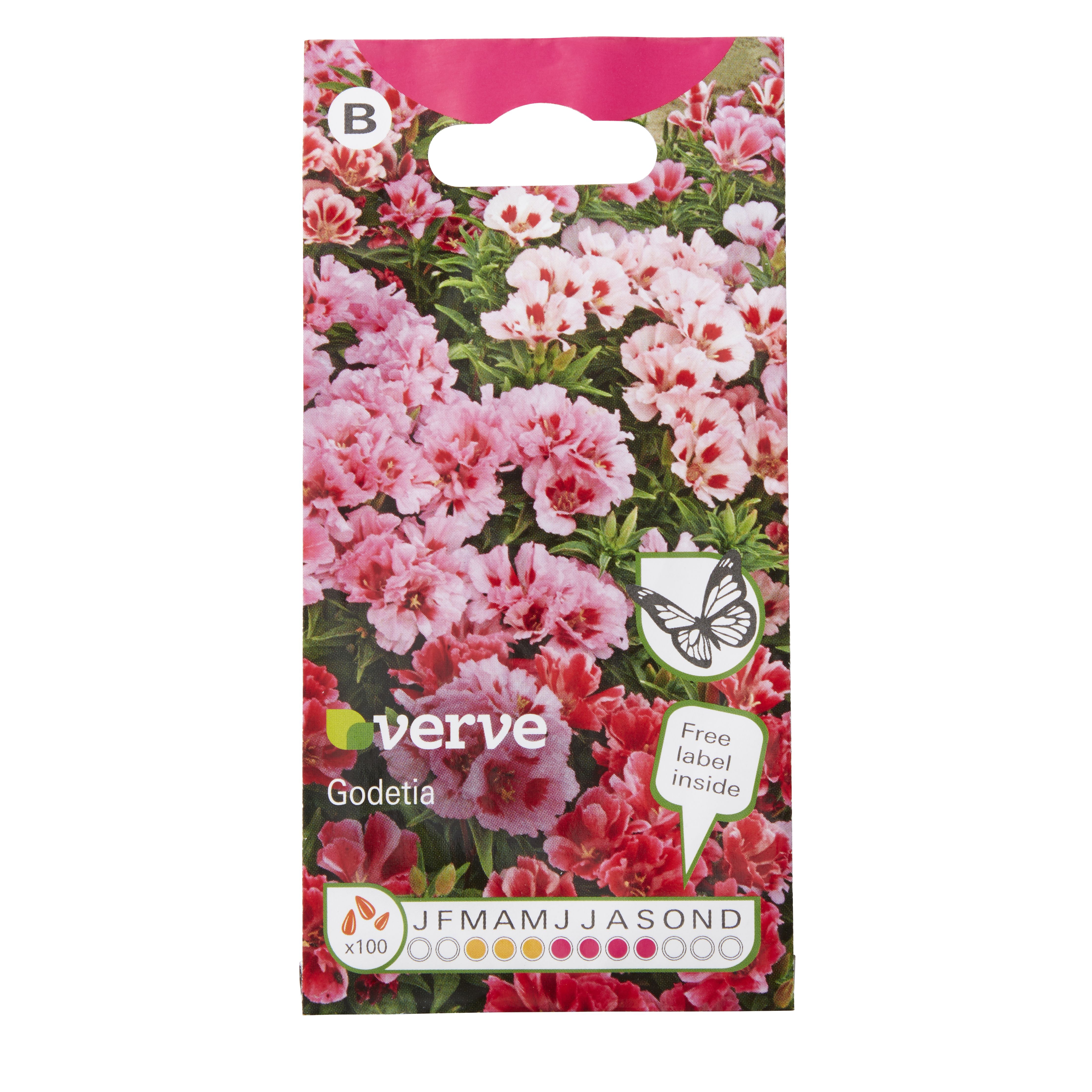 Verve Pink assorted Godetia Seeds