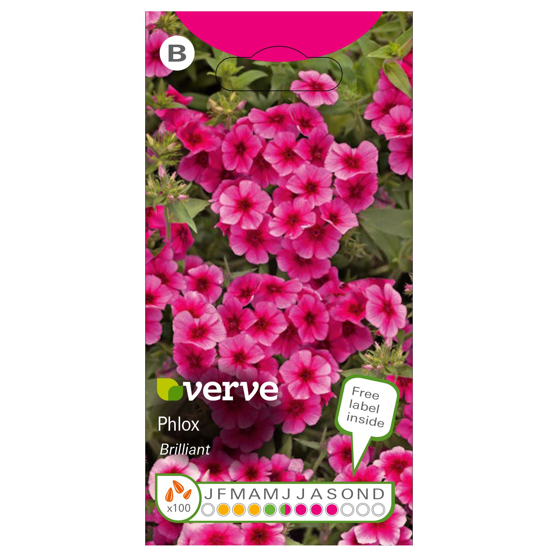 Verve Pink Phlox Seeds