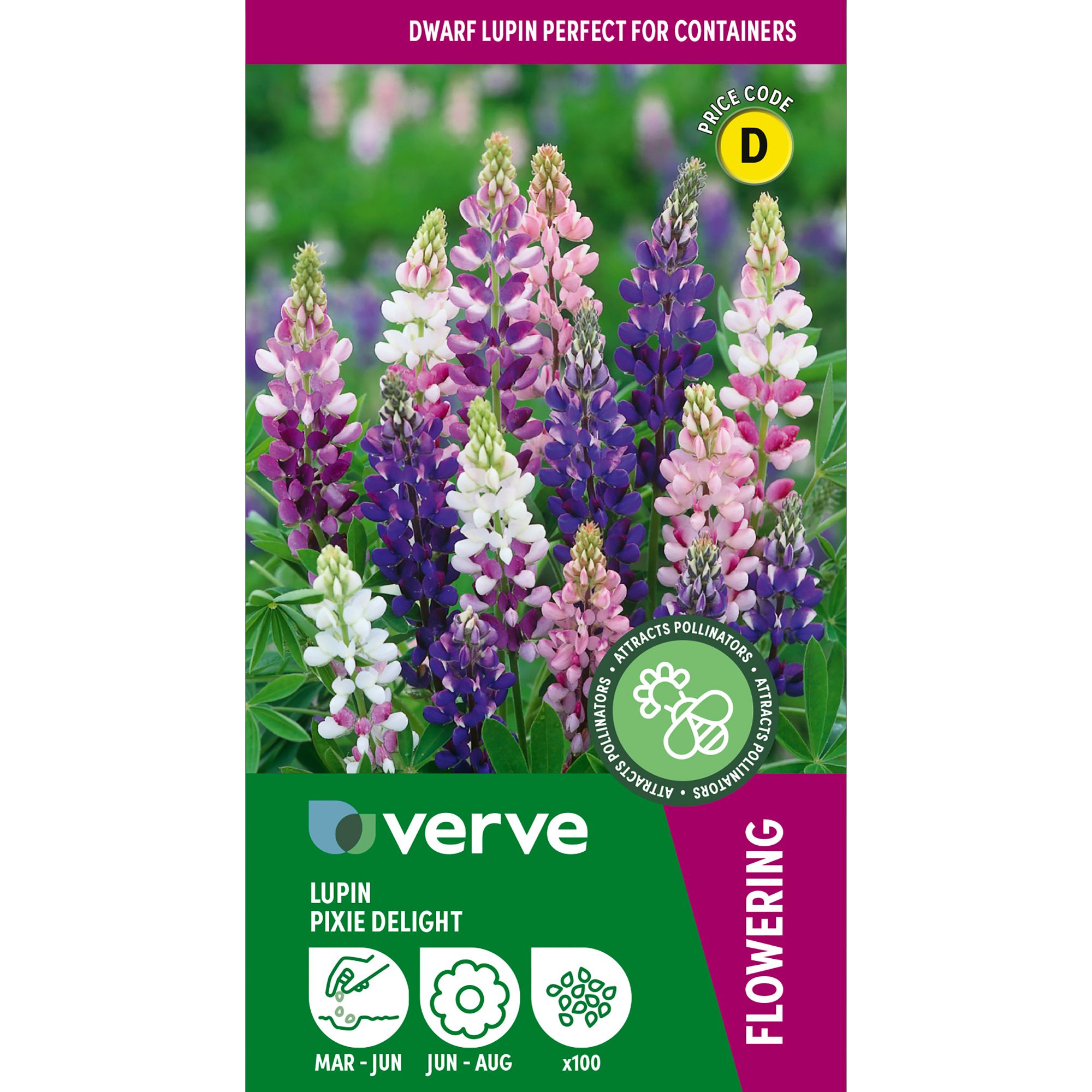 Verve Pixie Delight Lupin Seeds