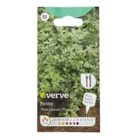 Verve Plain leaved parsley Herb Seeds