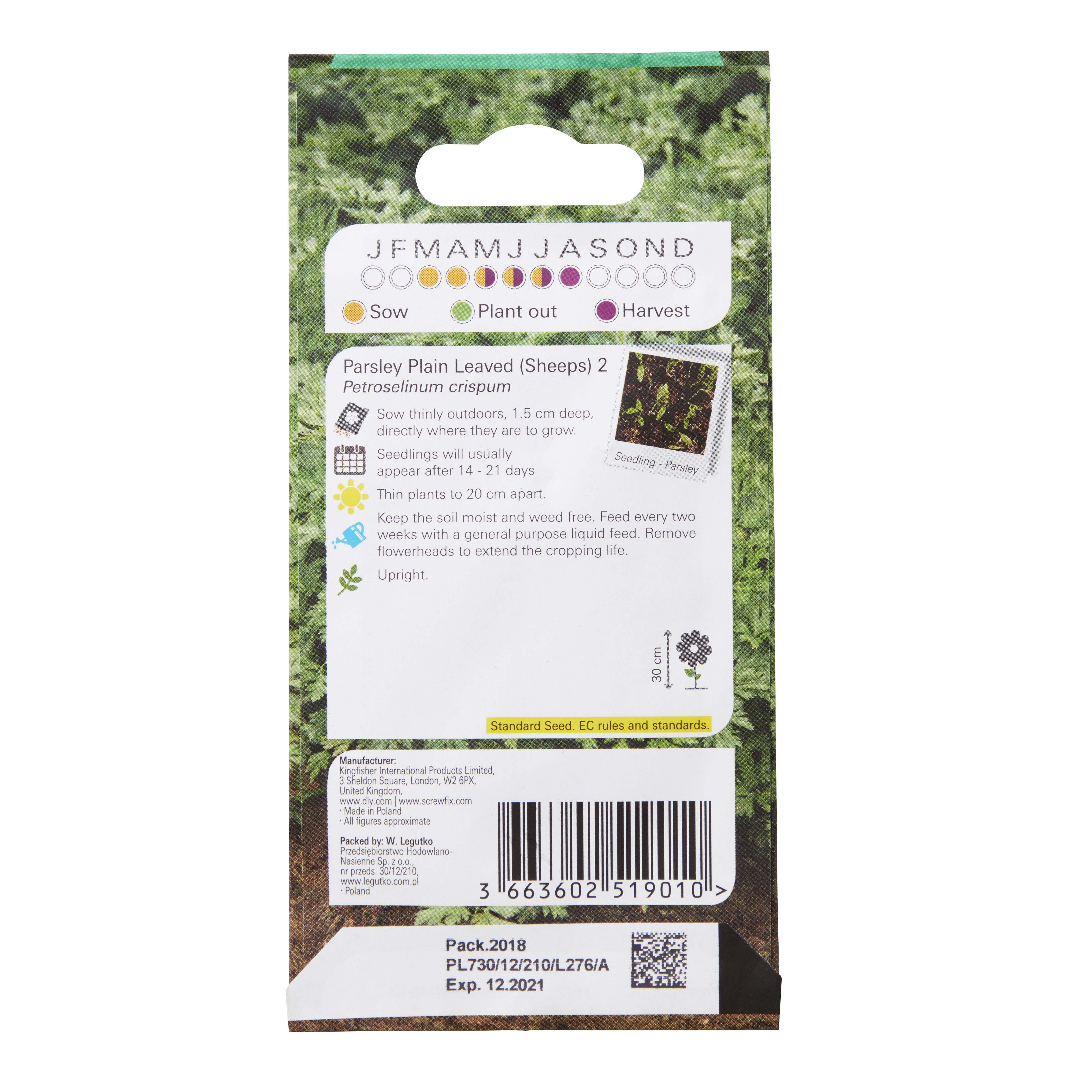 Verve Plain leaved parsley Herb Seeds