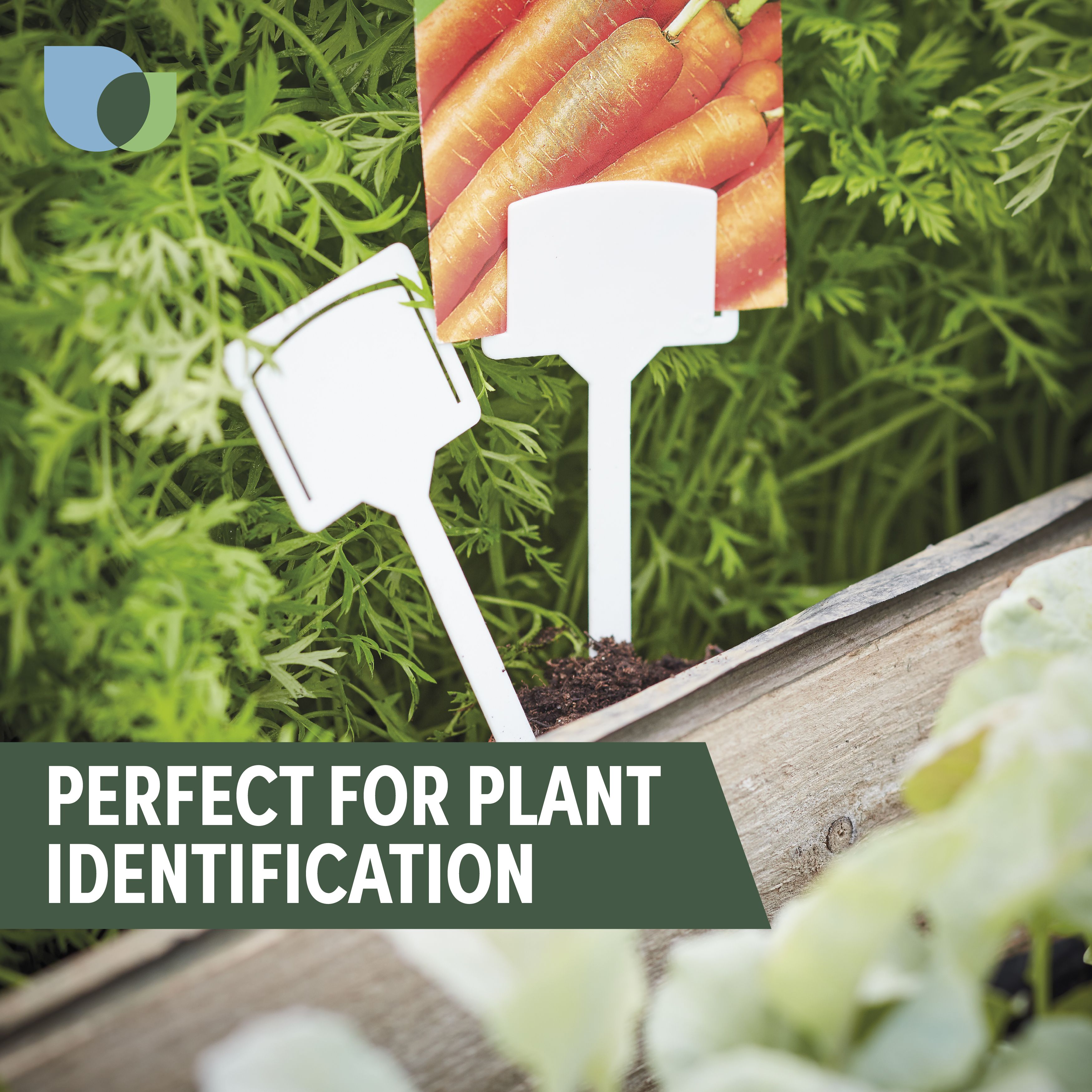 VERVE PLASTIC PLANT LABELS, PACK OF 10