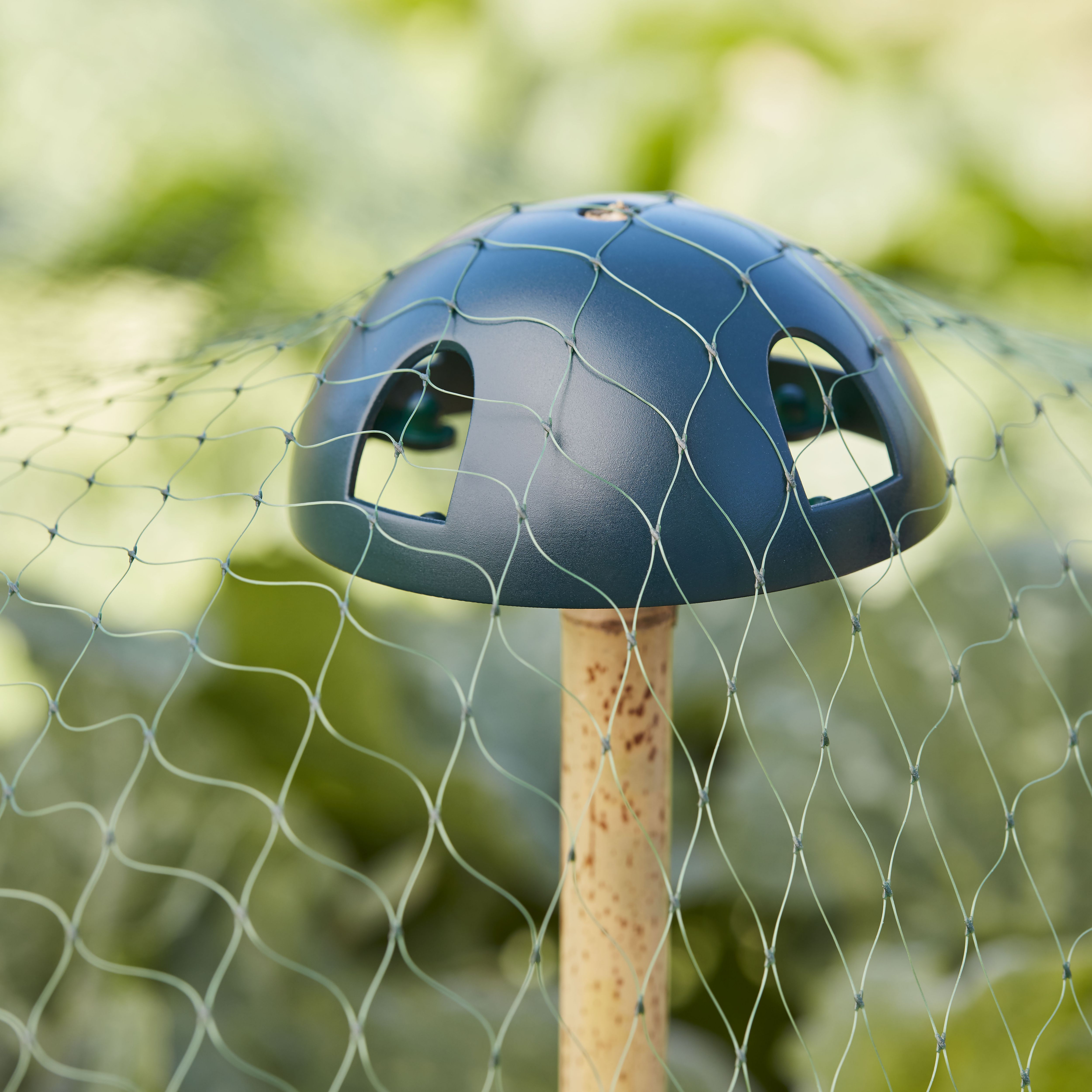 Verve Plastic Plant support 4.5cm, Pack of 5 DIY at B&Q