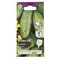 Verve Polan cucumber Seed