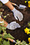 Verve Polyester Multicolour Gardening gloves Medium, Pair