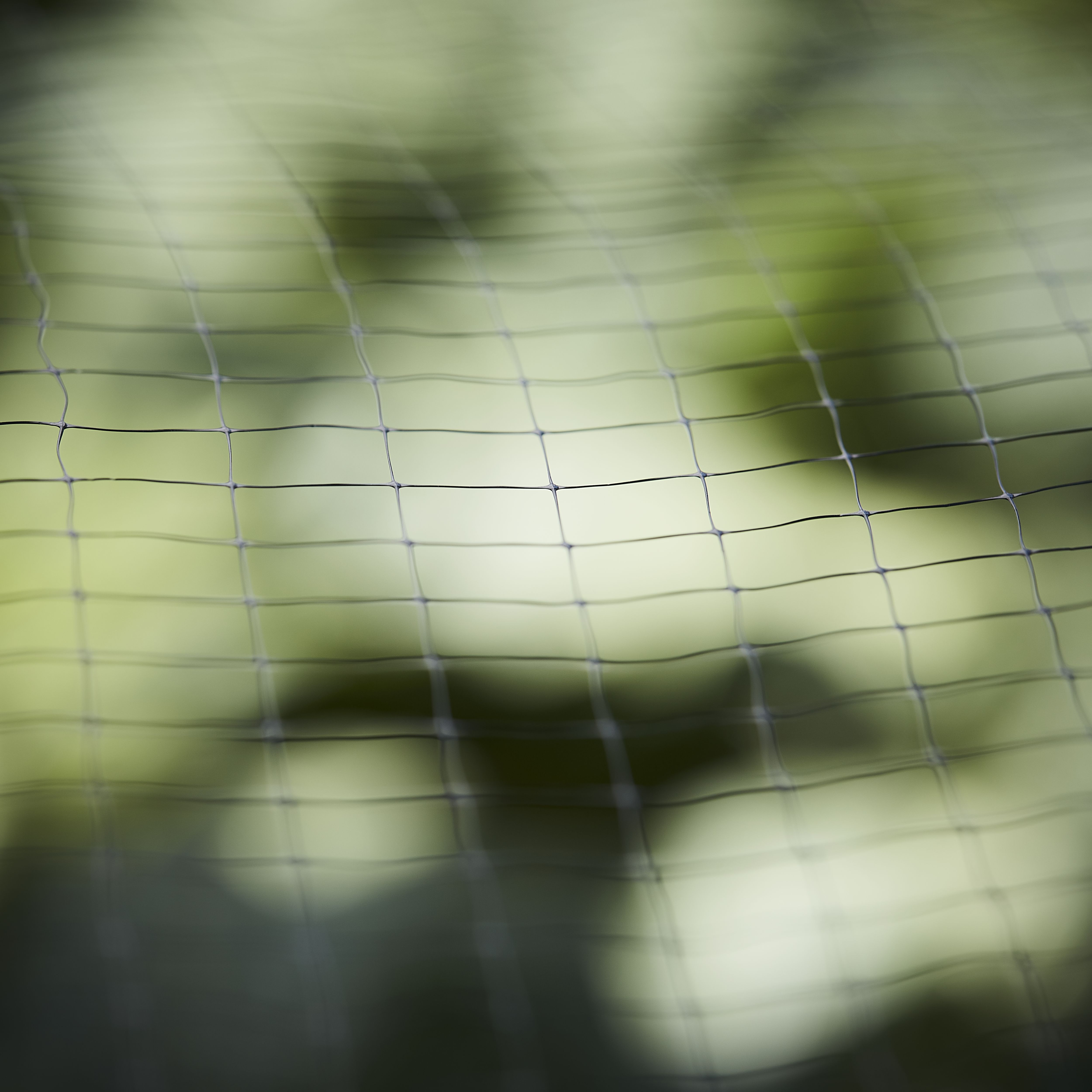 Verve Pond protection net 4m x 2m