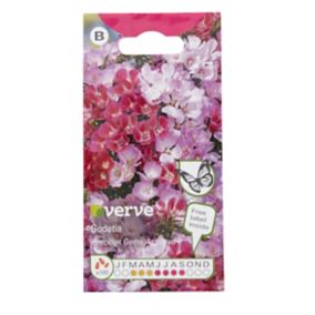 Verve Precious gems Godetia Seeds