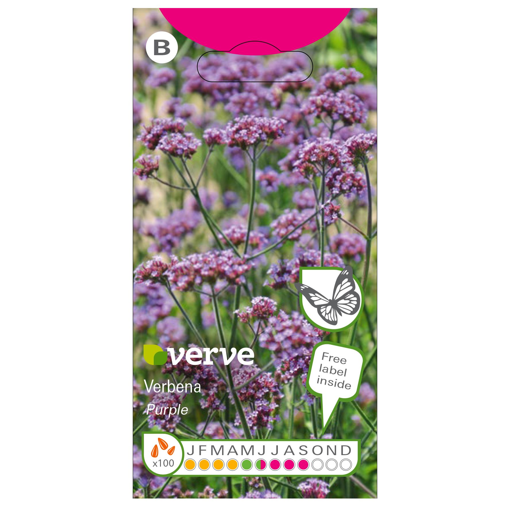 Verve Purple seed Verbena Seeds