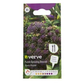 Verve Purple sprouting Vegetable Seeds