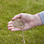 Verve Recubrimiento de arranque fácil Universal grass seeds, 0.5kg