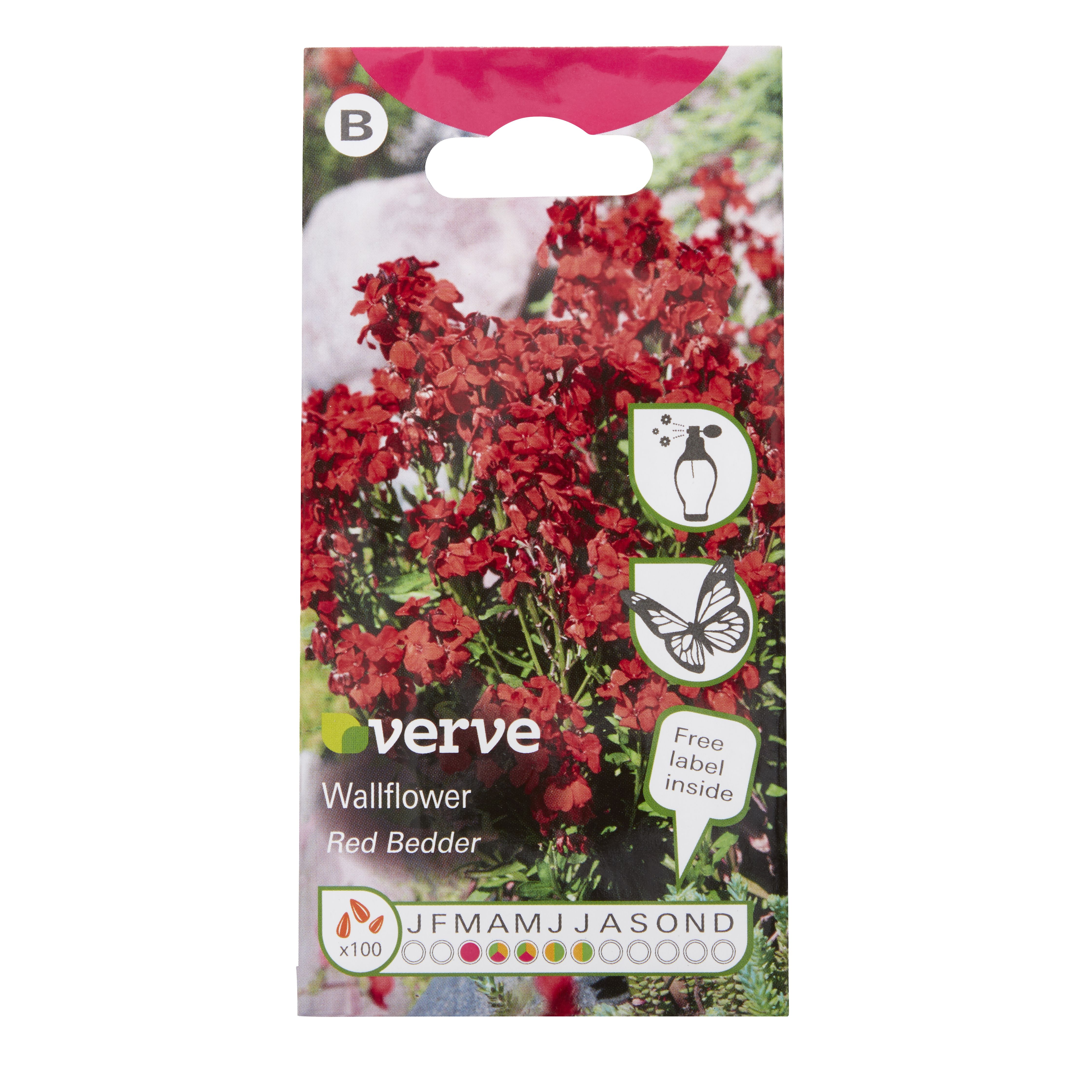 Verve Red bedder Wallflower Seeds