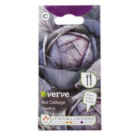 Verve Red cabbage roodkop Cabbage Seed