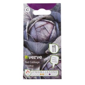 Verve Red cabbage roodkop Vegetable Seeds