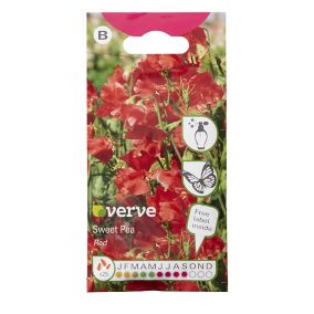 Verve Red Sweet pea Seeds