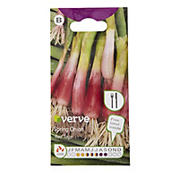 Verve Red toga spring onion Spring onion Seed