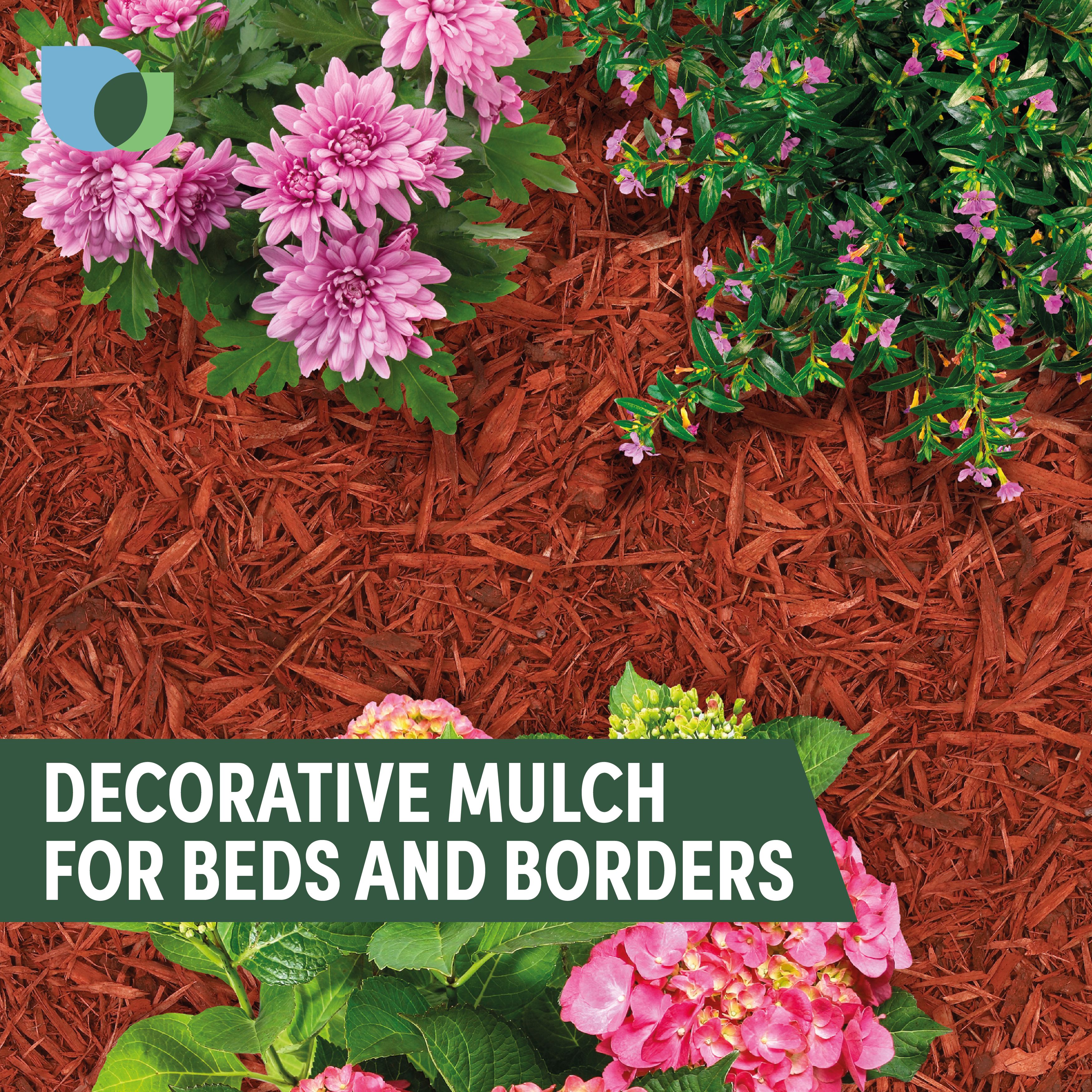 Verve Red Woodchip mulch 100L Bag