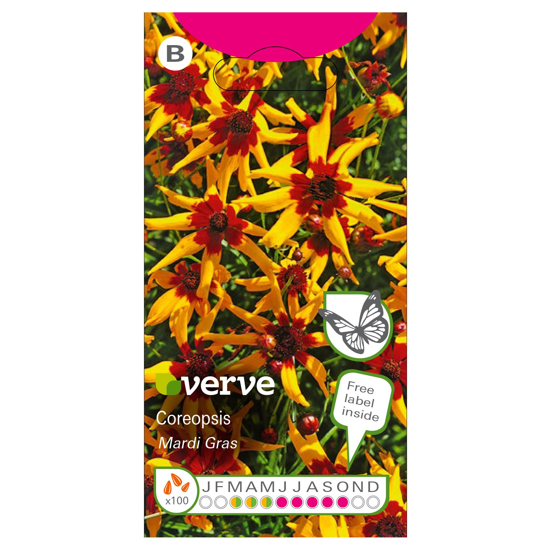 Verve Red yellow seed Coreopsis Seeds