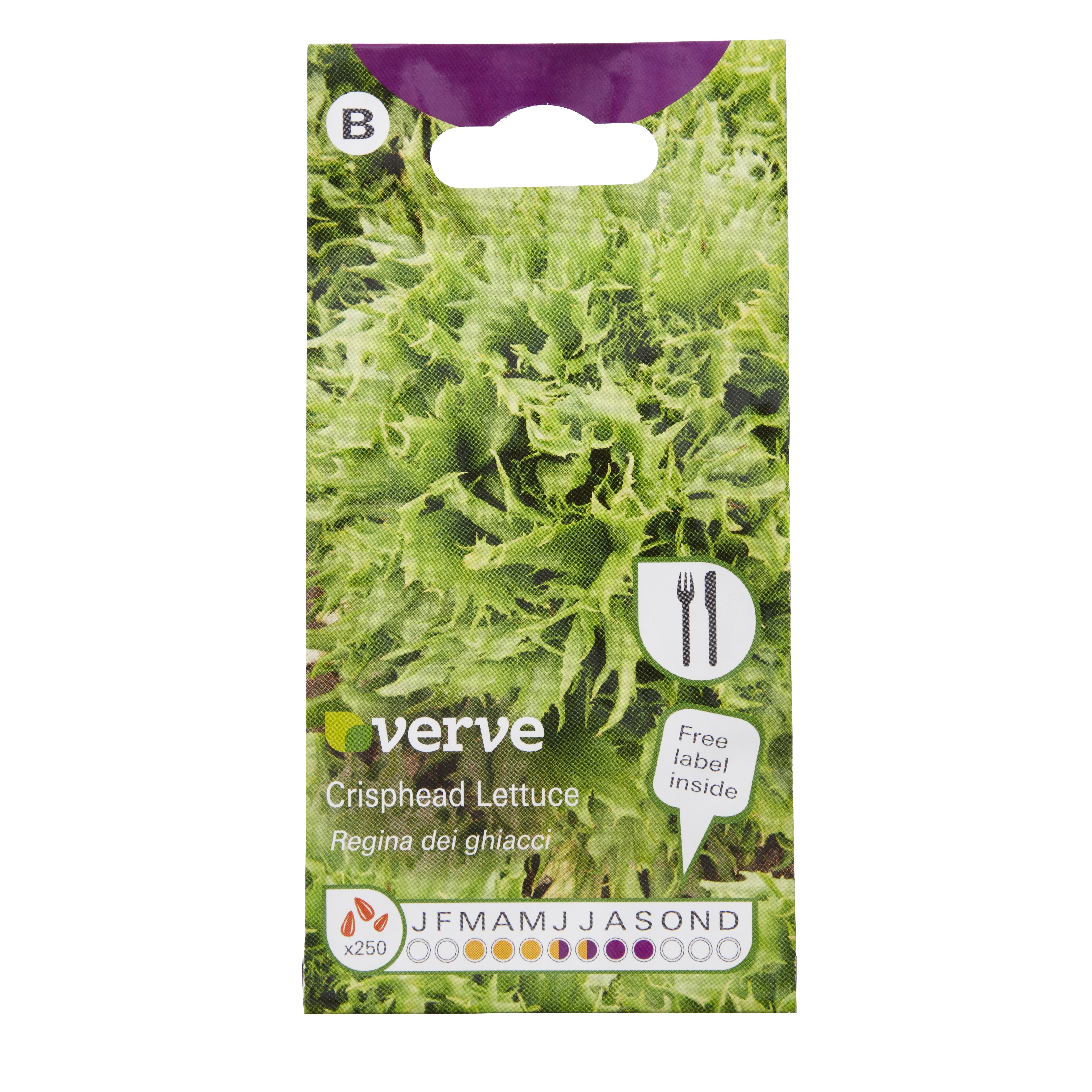 Verve Regina dei ghiacci crisphead lettuce Seeds