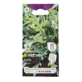 Verve Rocket pronto Seeds