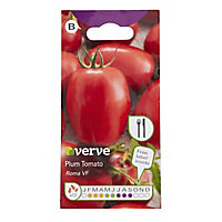 Verve Roma plum tomato Seed